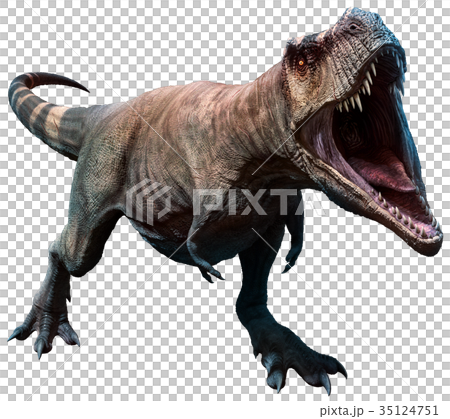Tyrannosaurus about to bite 35124751