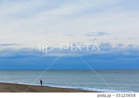 赤羽根ロングビーチ 片浜十三里 釣り 赤羽根ロングビーチ 片浜十三里 釣り 35125658