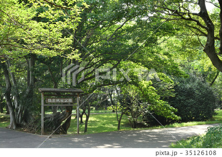日本100名城・佐倉城 日本100名城・佐倉城 35126108