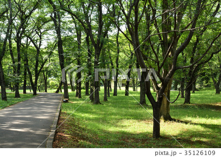 日本100名城・佐倉城 35126109