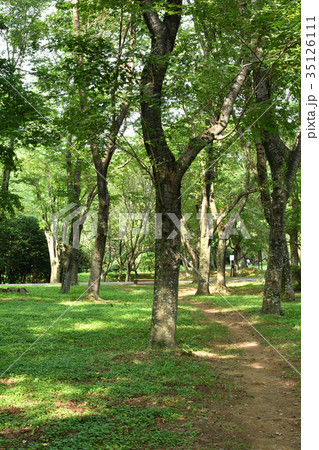 日本100名城・佐倉城 35126111