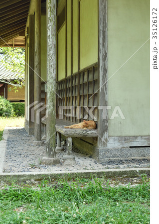 日本100名城・佐倉城 日本100名城・佐倉城 35126172