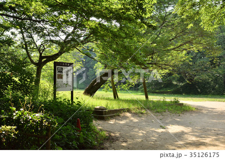 日本100名城・佐倉城 日本100名城・佐倉城 35126175