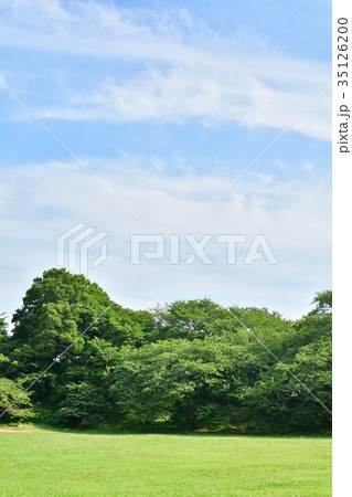 日本100名城・佐倉城 日本100名城・佐倉城 35126200