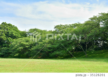 日本100名城・佐倉城 35126201