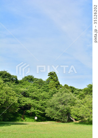 日本100名城・佐倉城 日本100名城・佐倉城 35126202