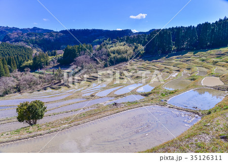 田植えを待つ　大山千枚田 35126311