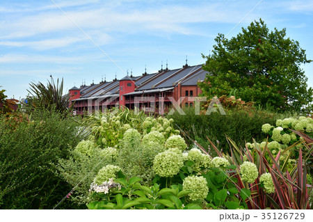 横浜 横浜 35126729