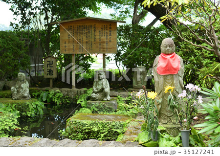 鎌倉・長谷寺 鎌倉・長谷寺 35127241