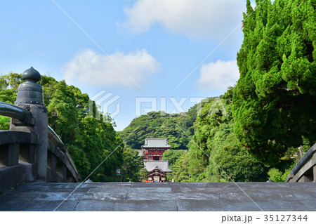 鎌倉・鶴岡八幡宮 35127344