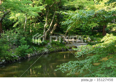 鎌倉・鶴岡八幡宮 鎌倉・鶴岡八幡宮 35127450