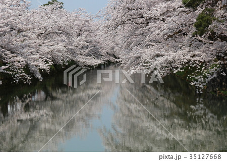 弘前城 お堀と桜 弘前城 お堀と桜 35127668