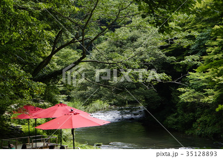 鶴仙峡 川床 野点 野立て 山中温泉 鶴仙峡 川床 野点 野立て 山中温泉 35128893