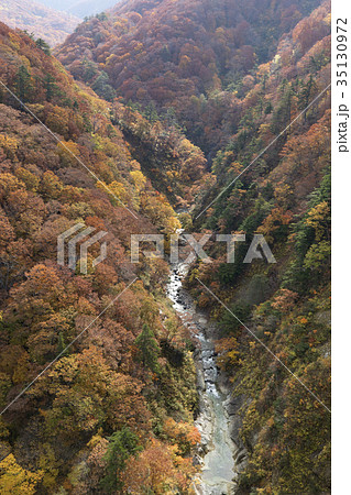 城ヶ倉渓流の紅葉 35130972