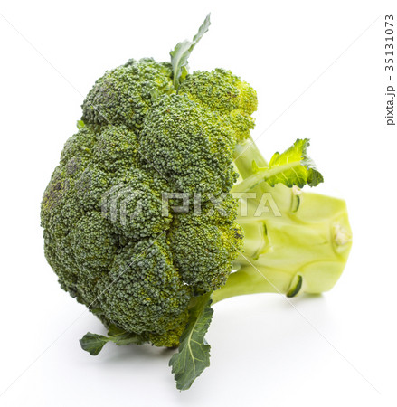 Broccoli isolated on white background 35131073