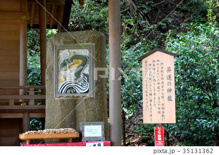 昇雲の神龍 葛原岡神社 昇雲の神龍 葛原岡神社 35131362