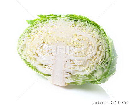 夏秋キャベツ （ハーフカット）10月　茨城県産　 35132356