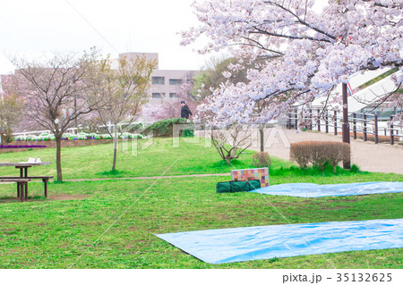 お花見の場所取り 飲み会 準備 桜 染井吉野 そめいよしの ソメイヨシノ お花見の場所取り 飲み会 準備 桜 染井吉野 そめいよしの ソメイヨシノ 35132625