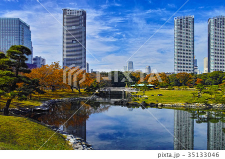 浜離宮恩寵庭園の秋 35133046