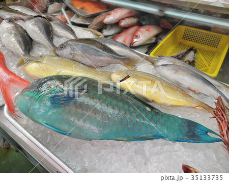 牧志公設市場のイラブチャー(Okinawa) 牧志公設市場のイラブチャー(Okinawa) 35133735