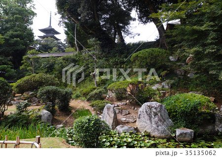【石川県文化財】妙成寺 名勝庭園 35135062