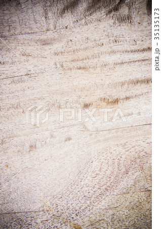 Texture wood background , basic classic wood style 35135173