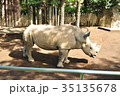 サイ 35135678