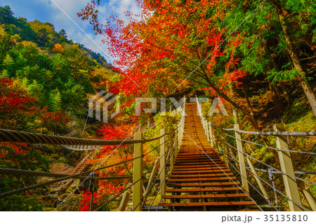 大柳川渓谷　竜仙橋 35135810