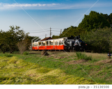 青空と鶴舞駅とトロッコ列車 青空と鶴舞駅とトロッコ列車 35136500