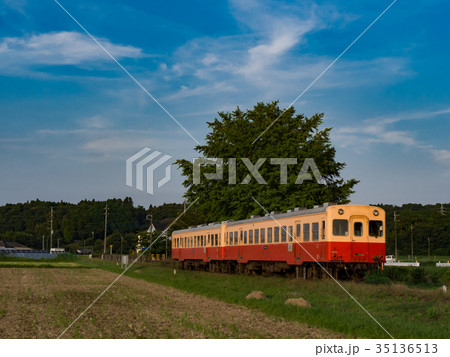 上総久保駅と銀杏の大木 上総久保駅と銀杏の大木 35136513