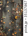wooden pathway with dry autumn leaves background 35137867