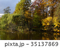 autumn park lake with bright fall season trees 35137869