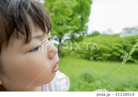 公園でテントウ虫を見る女の子 公園でテントウ虫を見る女の子 35138019