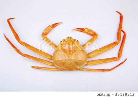カニ　訳あり 35139512