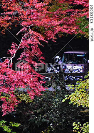 紅葉 35139634