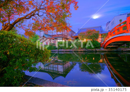 autumn illumination of Shinsenen 35140175