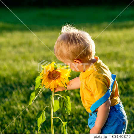 One year old baby boy looking at sunflower One year old baby boy looking at sunflower 35140879