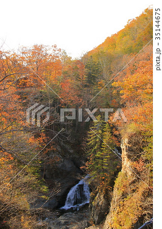 岩内仙峡と紅葉 35144675