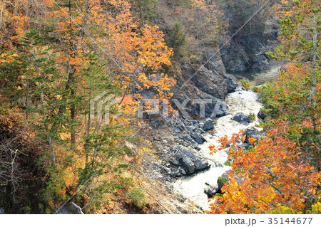 岩内仙峡 紅葉 北海道帯広 岩内仙峡 紅葉 北海道帯広 35144677