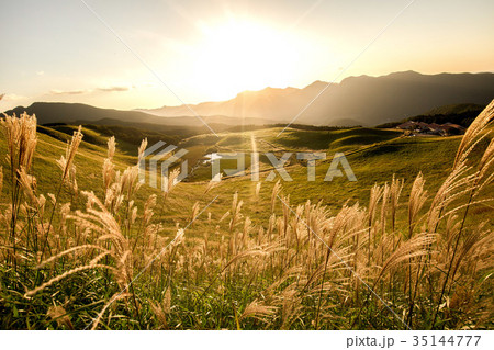 曽爾高原 35144777