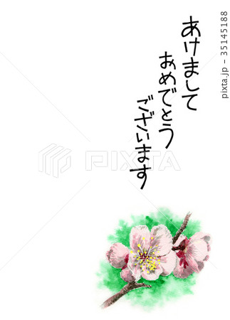 白梅の賀詞入り年賀ハガキ素材 白梅の賀詞入り年賀ハガキ素材 35145188