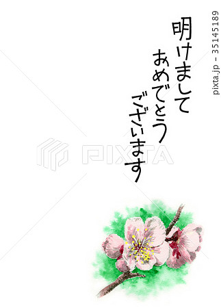 白梅の賀詞入り年賀ハガキ素材 35145189
