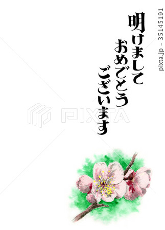 白梅の賀詞入り年賀ハガキ素材 白梅の賀詞入り年賀ハガキ素材 35145191