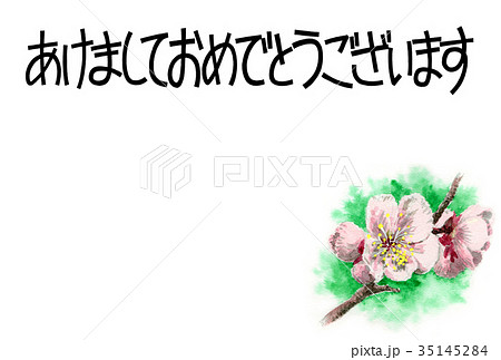 白梅の賀詞入り年賀ハガキ素材 35145284