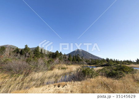 晩秋の睡蓮沼 35145629