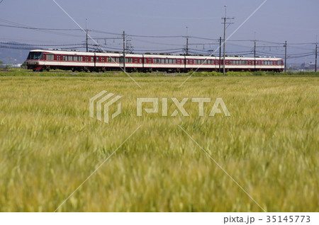 味坂の麦畑を疾走する西鉄特急8000形　西鉄天神大牟田線：端間～味坂 35145773