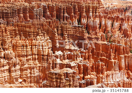 ブライスキャニオン国立公園　Bryce Canyon National Park 35145788