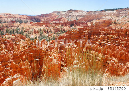 ブライスキャニオン国立公園 Bryce Canyon National Parkの写真素材