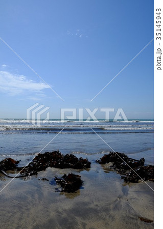 海岸の風景・由比ヶ浜 35145943
