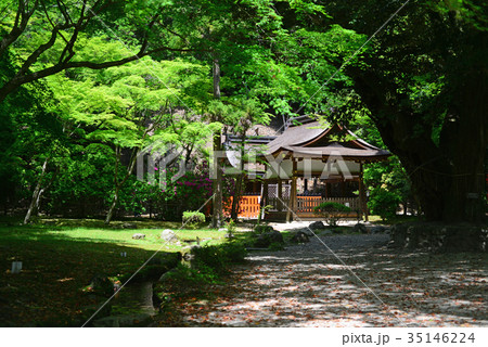 賀茂山口神社-2 賀茂山口神社-2 35146224